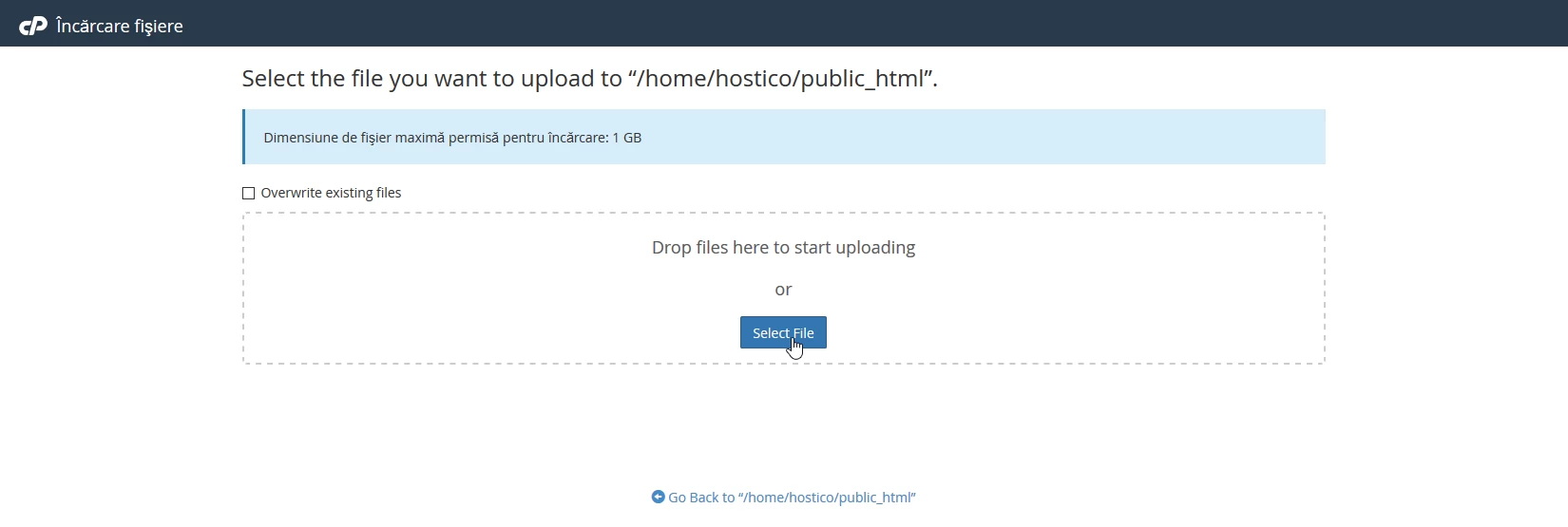 Selectare pentru incarcare fisier